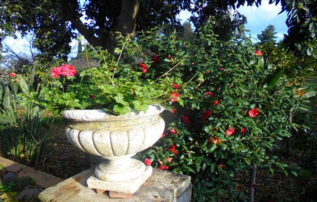 Baglio Delle Rose Bed and Breakfast Giarre Eksteriør billede
