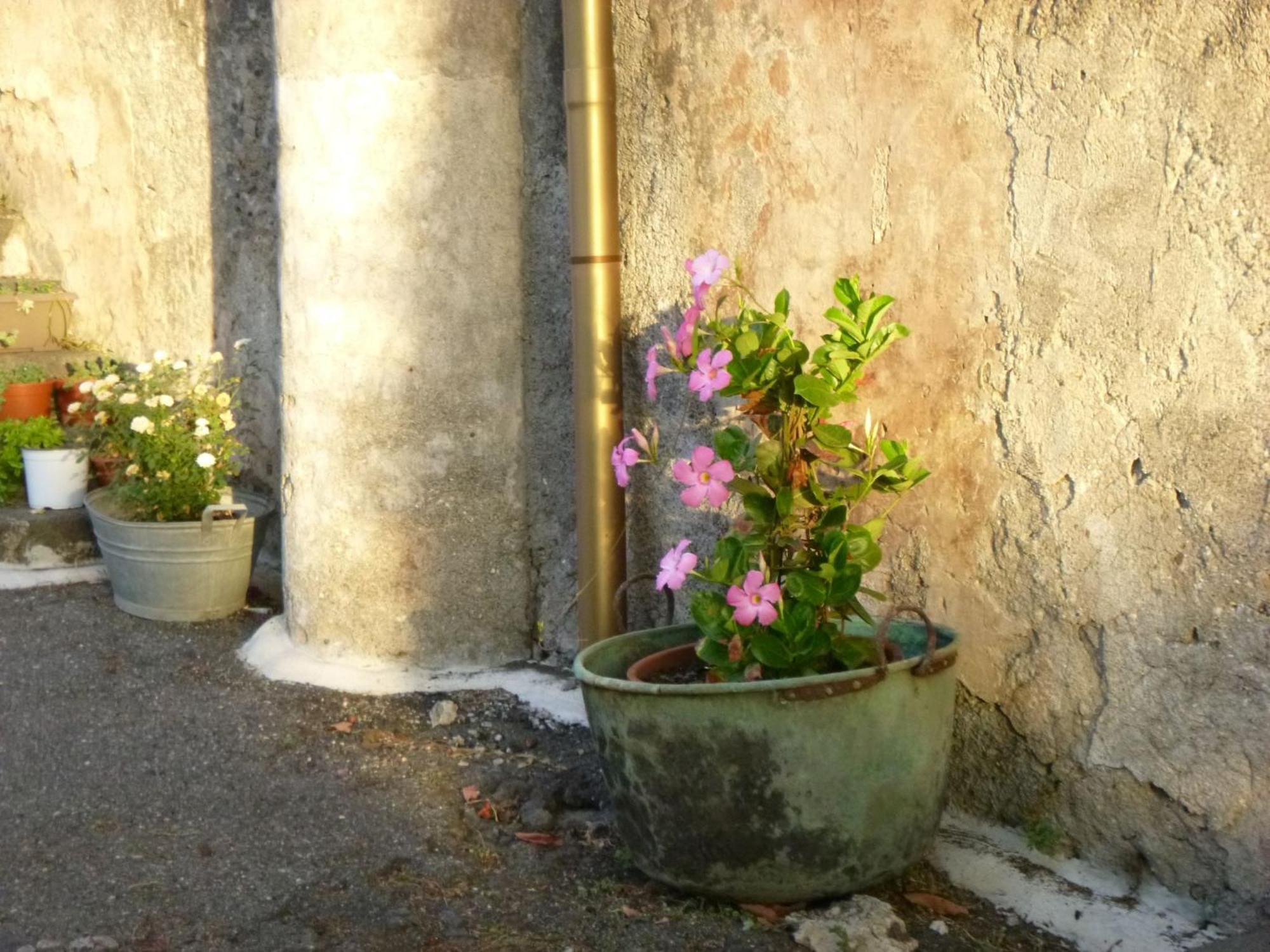 Baglio Delle Rose Bed and Breakfast Giarre Eksteriør billede
